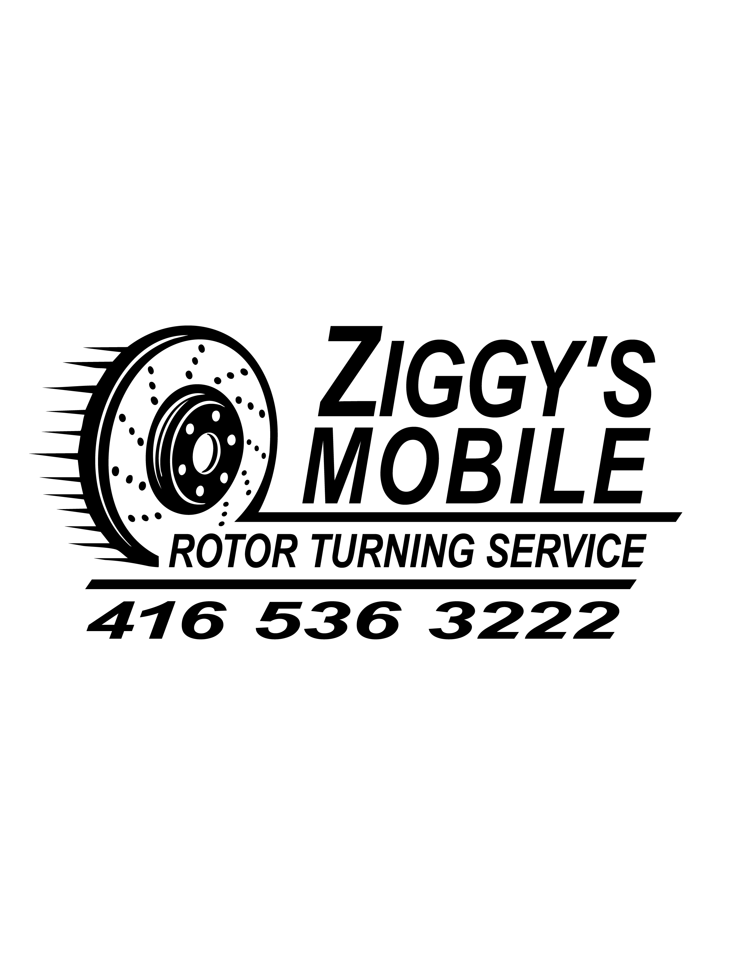 Stacked application sample for Ziggy's logo